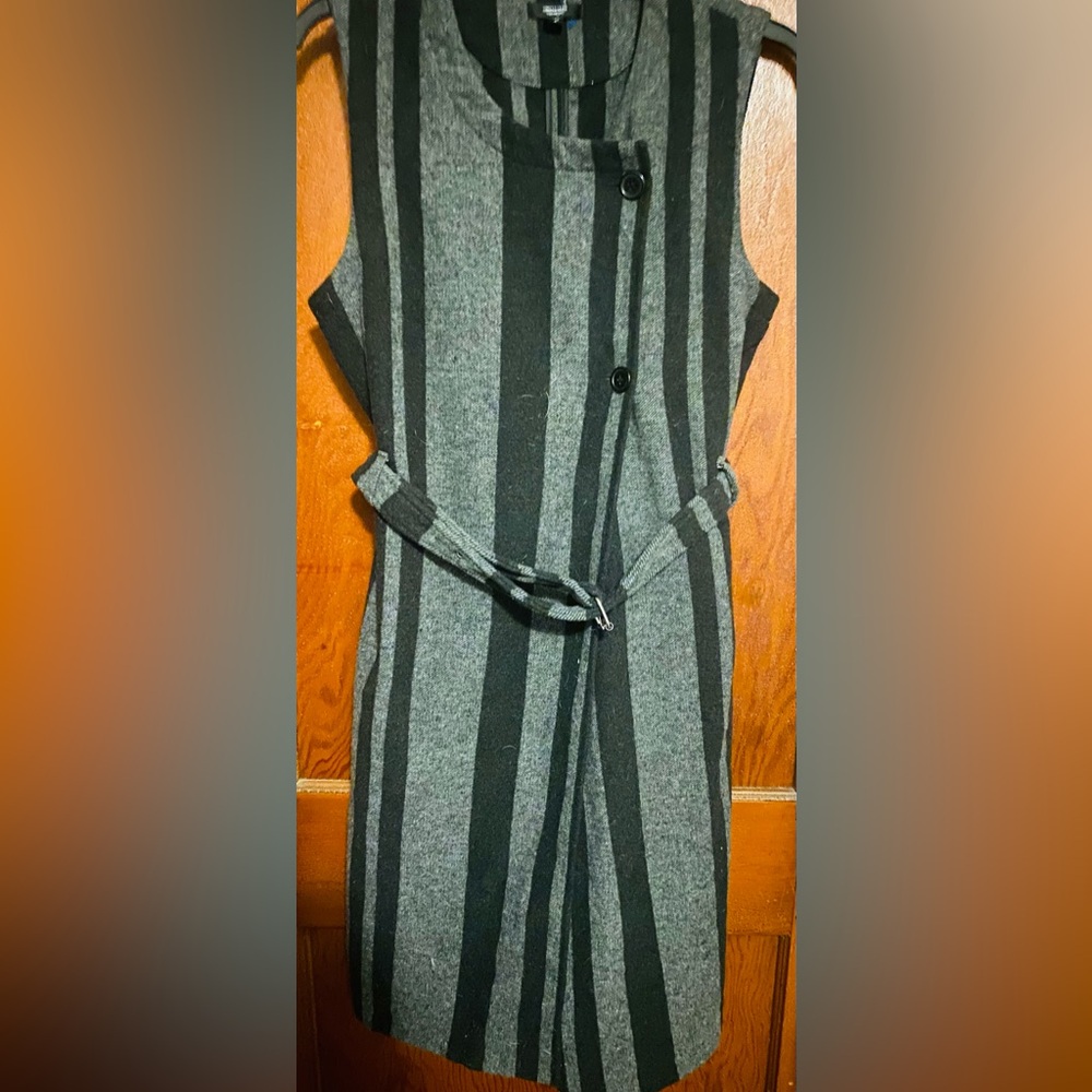 Striped Black and Gray Belted Vera Wang Dress BNWOT